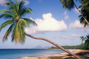 Les-Salines